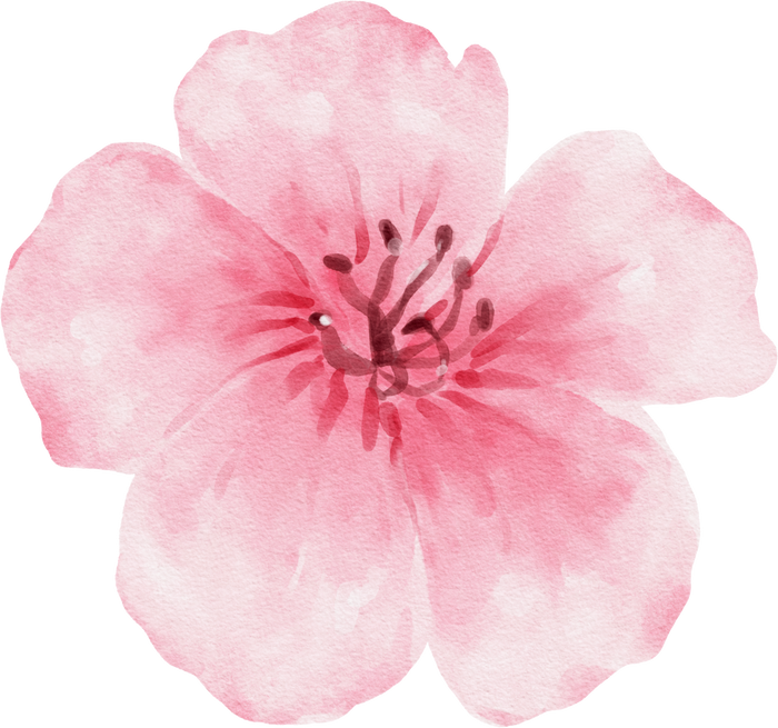 Pink Flower Watercolor